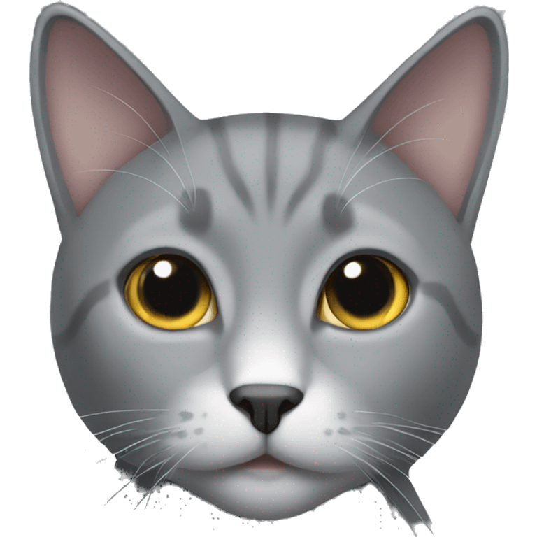 A grey cat with a white spot on its chest emoji