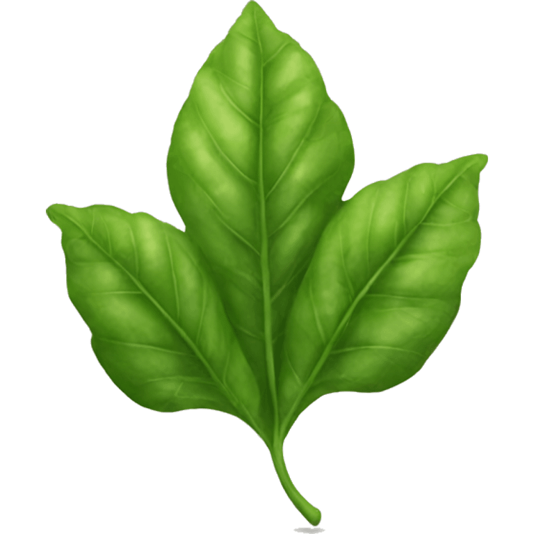 leaf basil emoji