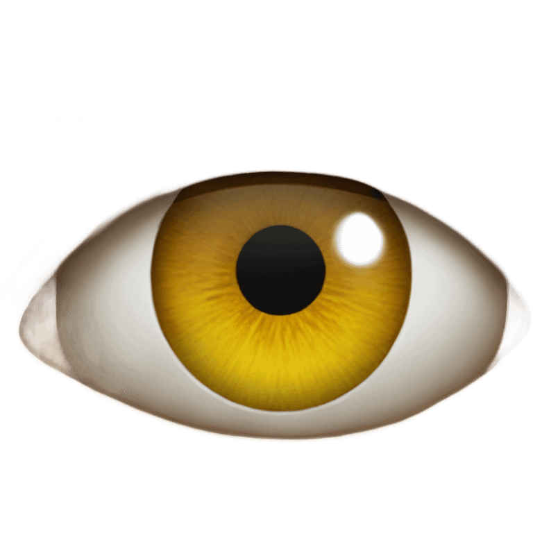 eye of rah meme emoji