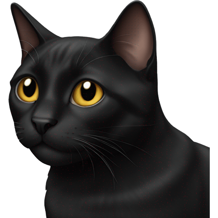 black cat named floyd emoji