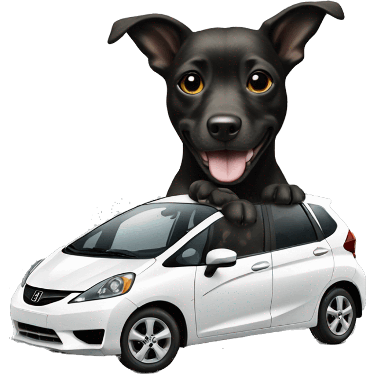 dog driving 2013 black honda jazz emoji