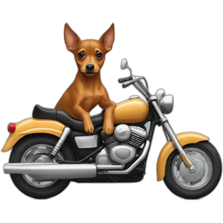 caramel-color-pinscher-dog-driving-a-motorcycle emoji