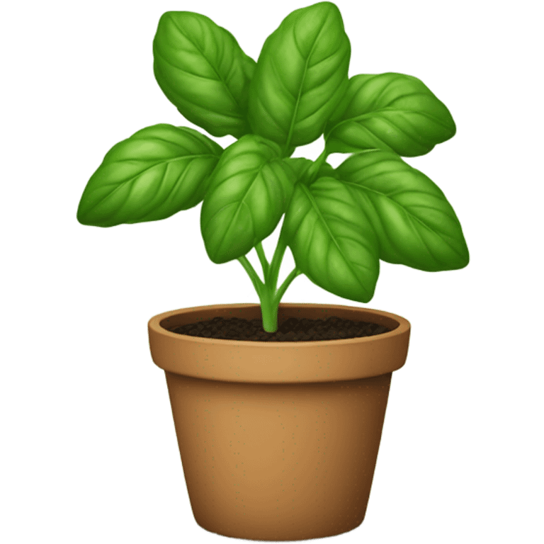 Basil pot plant emoji