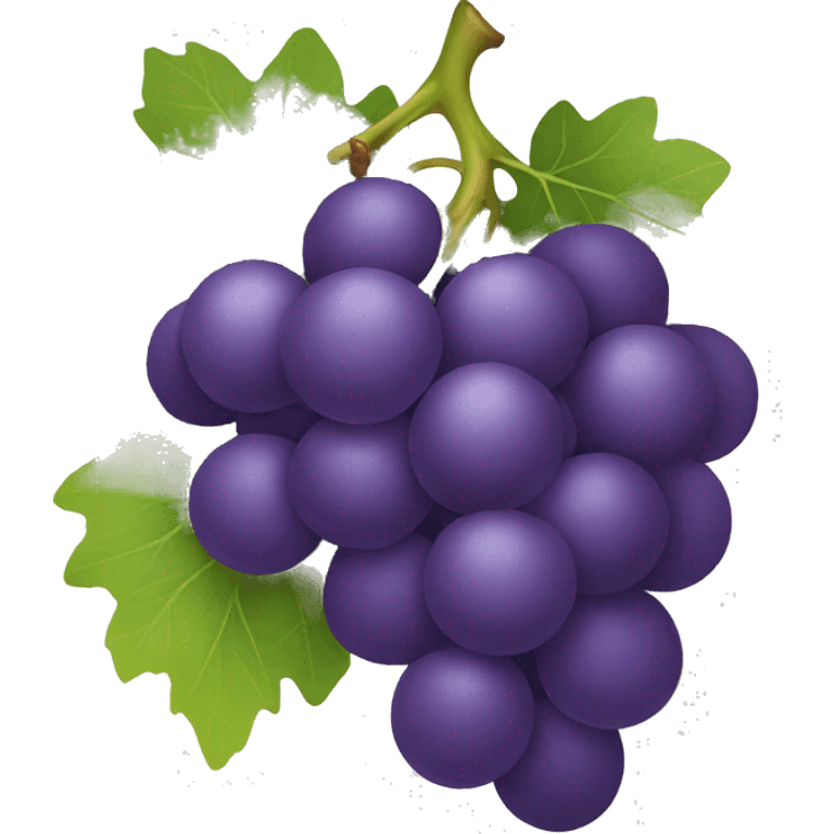 grapes emoji