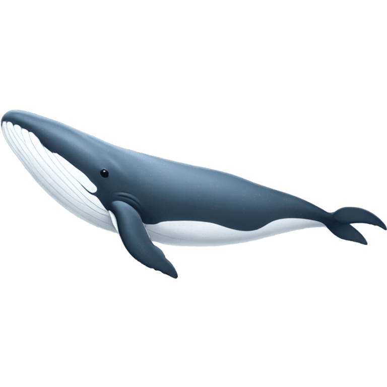 white whale , underside emoji