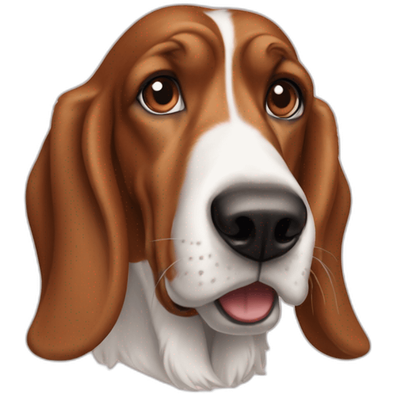 Jonathan Toews as a basset hound emoji