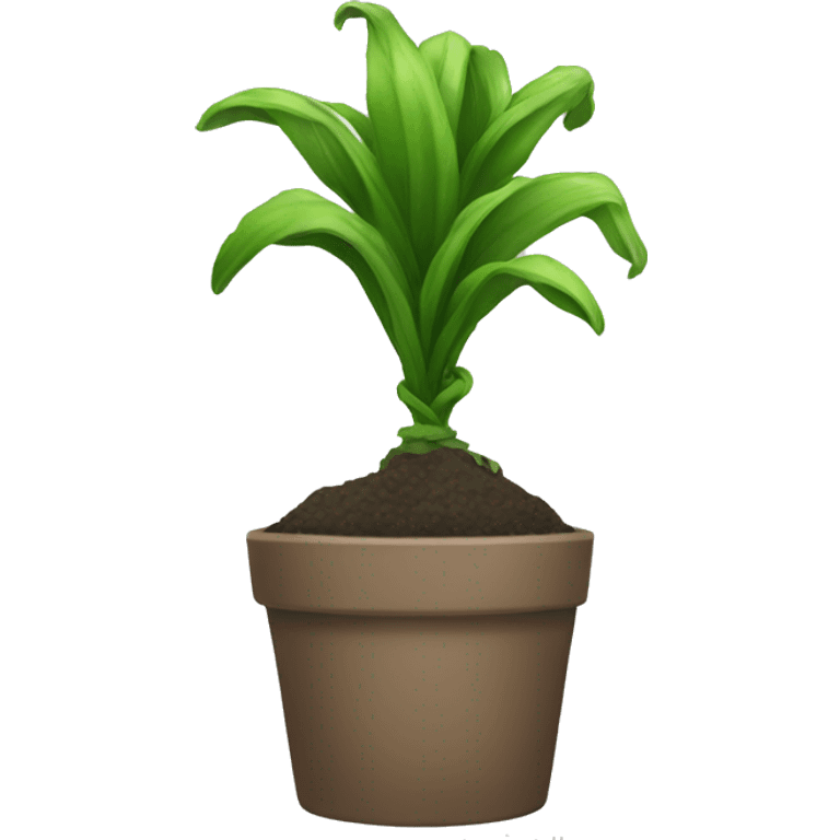 manbun plant desktop emoji