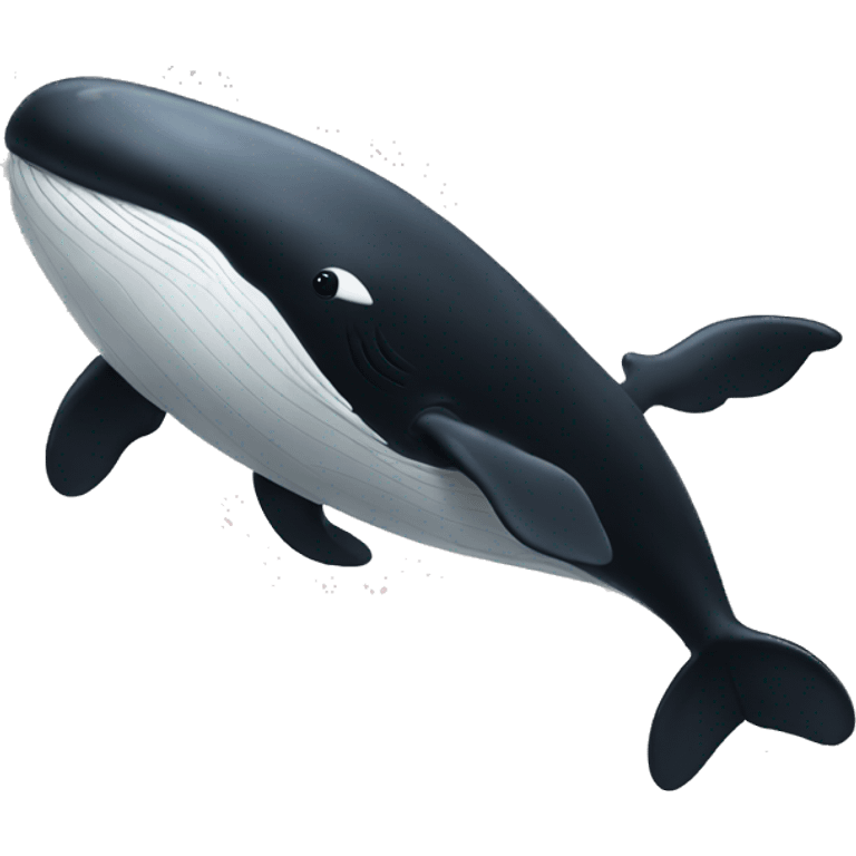  large black and white whale emoji