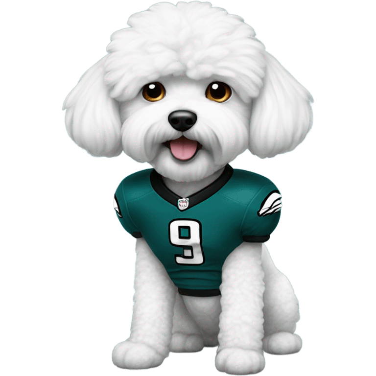 Bichon in Phila Eagles uniform  emoji