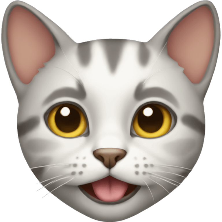 cat emoji