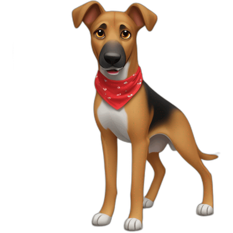 65% Coonhound 35% German Shepherd mix dog wearing small plain red bandana walking left emoji