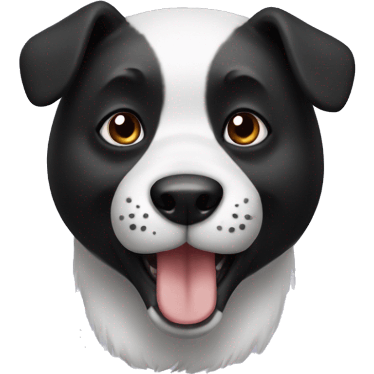 Panda dog emoji