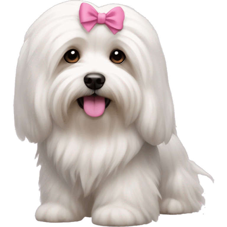 Long haired Coton de Tulear dog with pink bow emoji