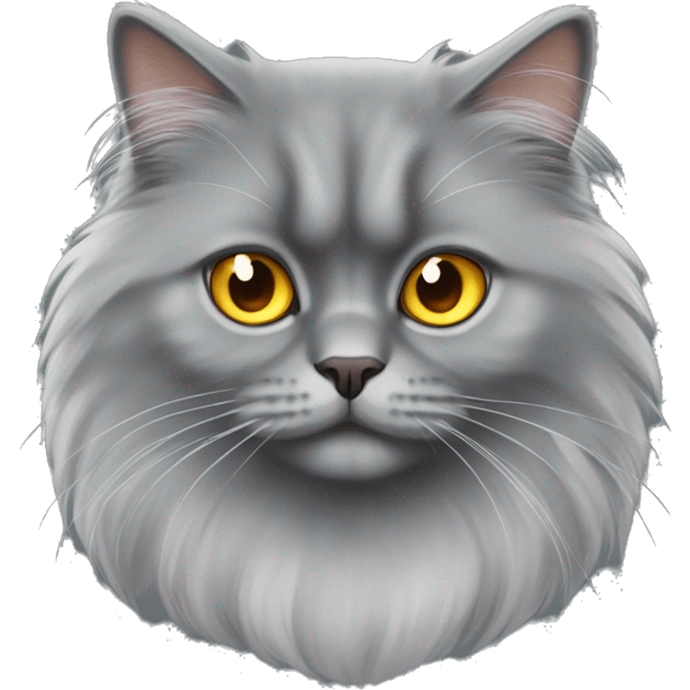 Persian gray cat with big fur and yellow/orange eyes emoji