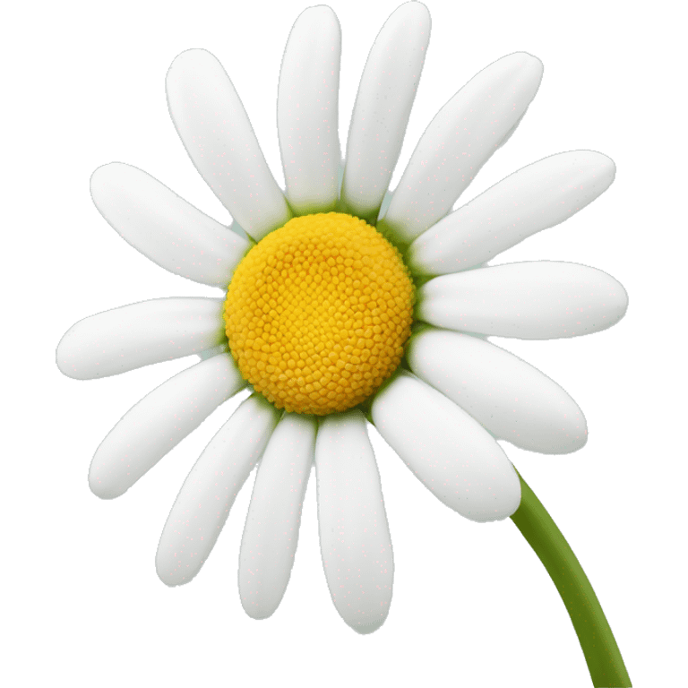 White daisy  emoji