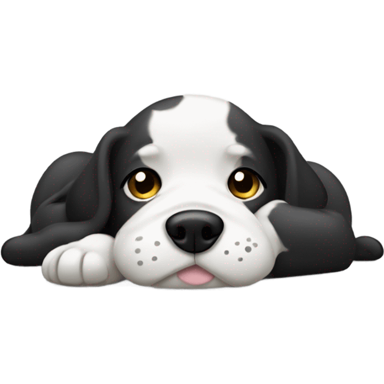 Black and white dog laying with belly up emoji