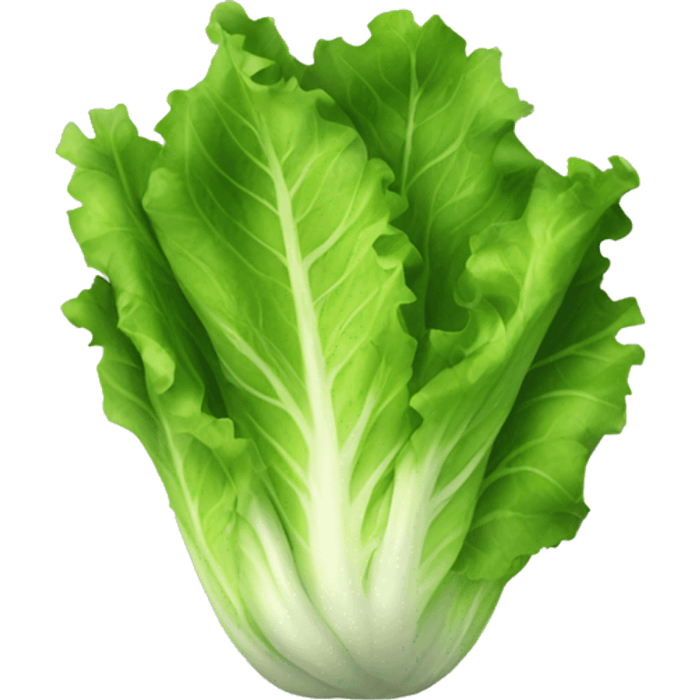 lettuce emoji