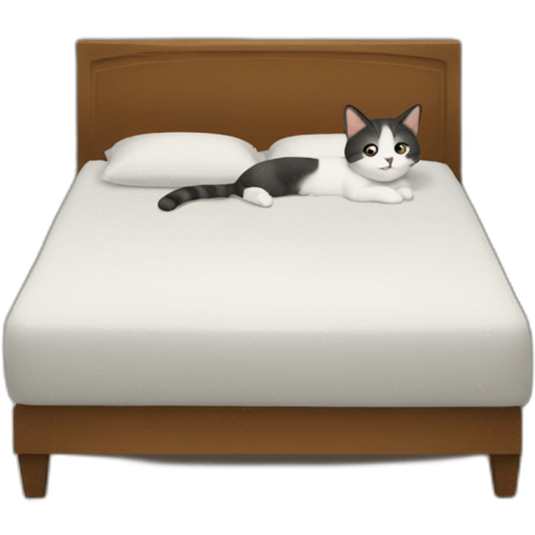 Un chat sur un lit emoji