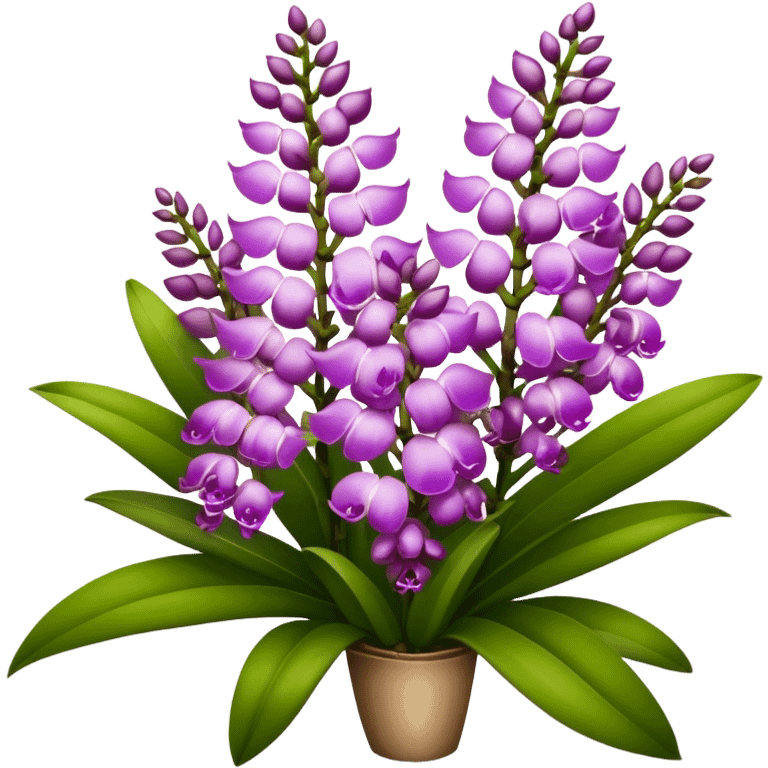 super big bouquet Rhynchostylis Orchid, stem, leaf emoji