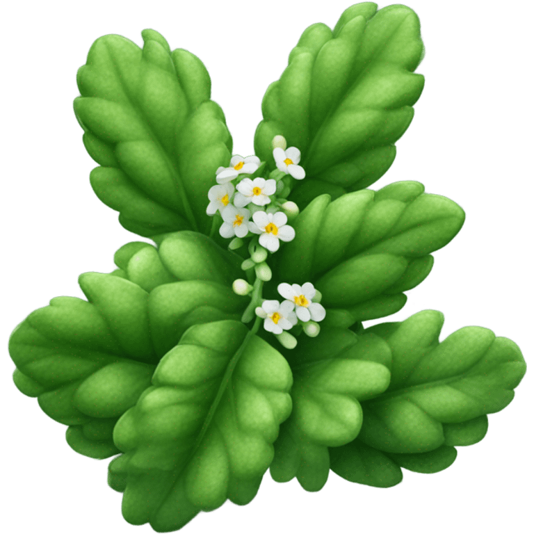 orache plant emoji