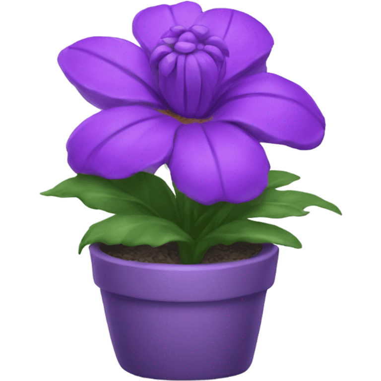 indoor flower purple emoji