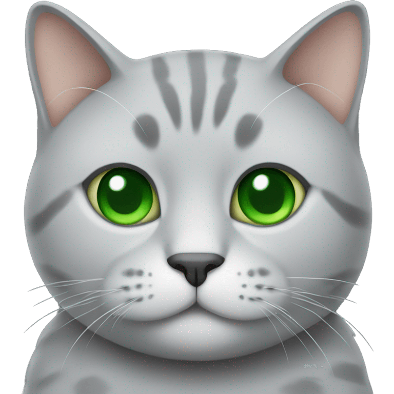 grey chubby cat with green eyes  emoji