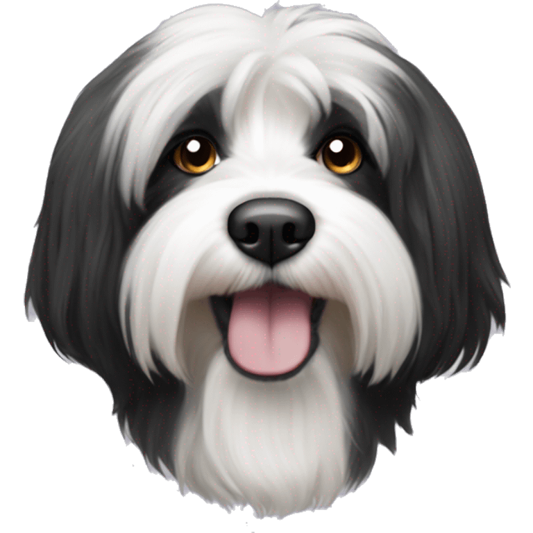 A Hairy black and white tibetan terrier emoji