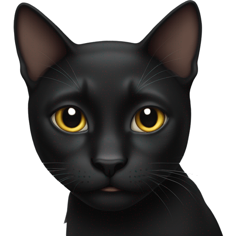 Black cat  emoji