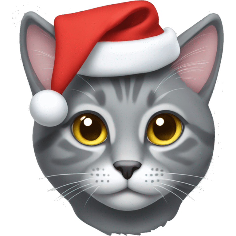 Grey cat in Christmas cap emoji