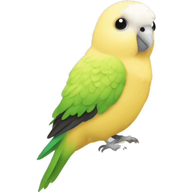 Budgie with cheese emoji