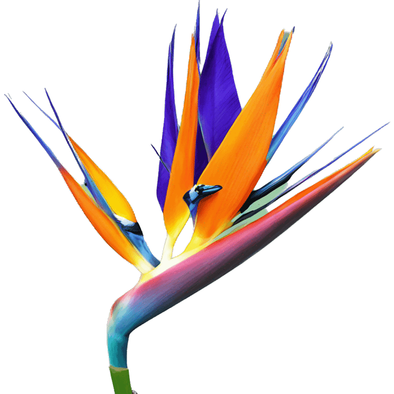 Bird of paradise flower emoji