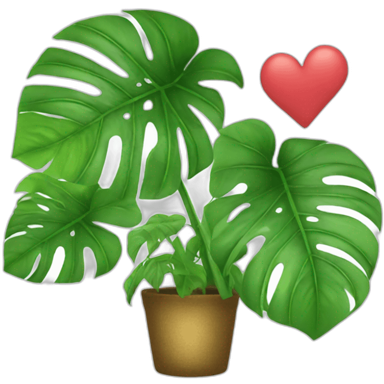 Monstera avec coeur emoji