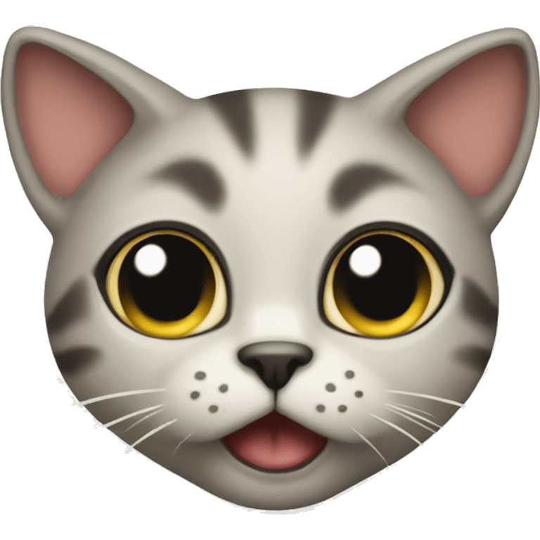 Cats with questionmark emoji