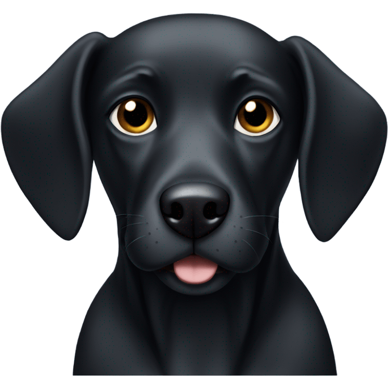 Medium sized black dog with little white spots  emoji