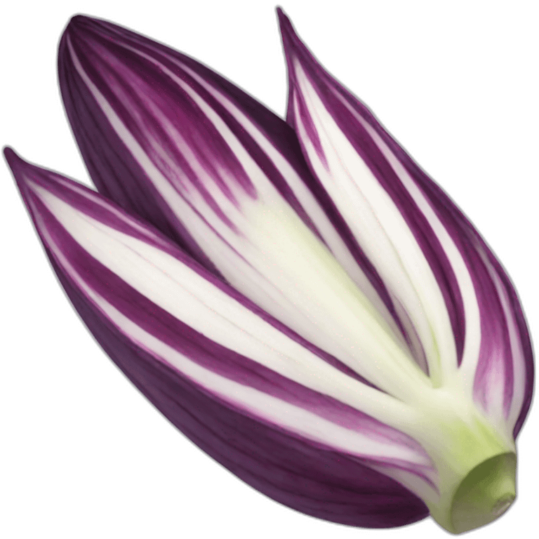 a purple endive emoji