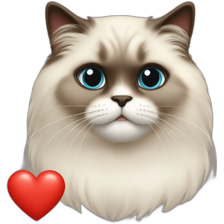 Himalayan cat in red heart emoji