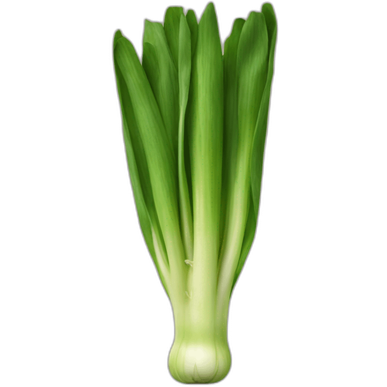 leek emoji