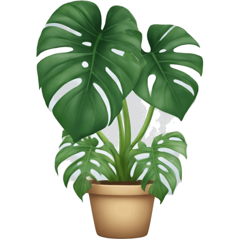 Monstera albino plant emoji