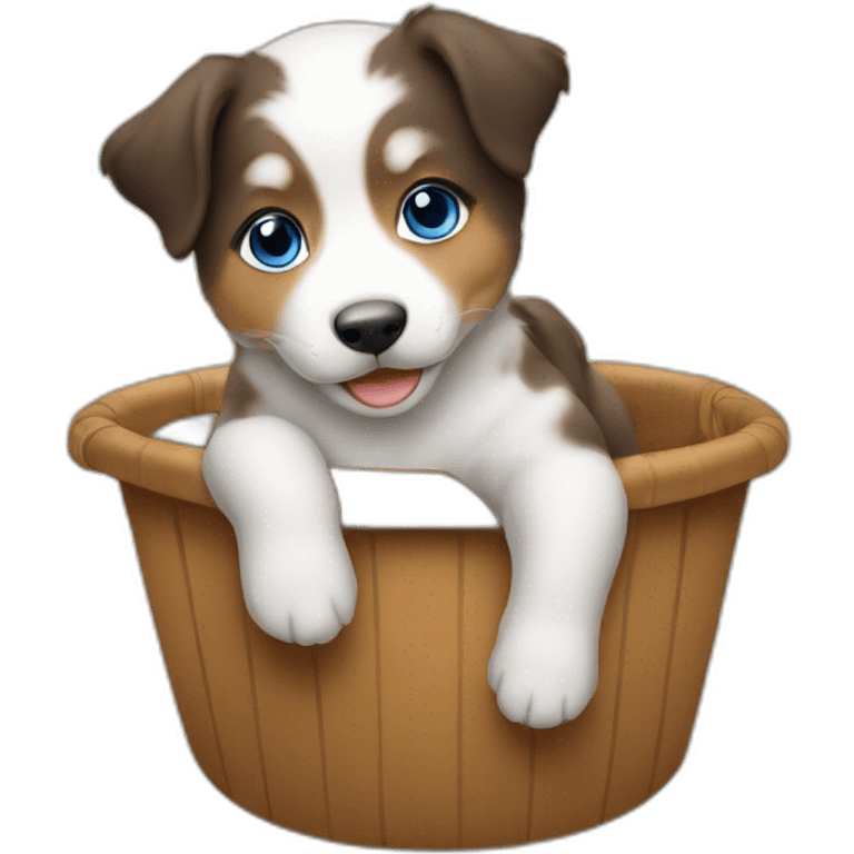 Asian baby riding on australian shepherd dog with blue eyes emoji