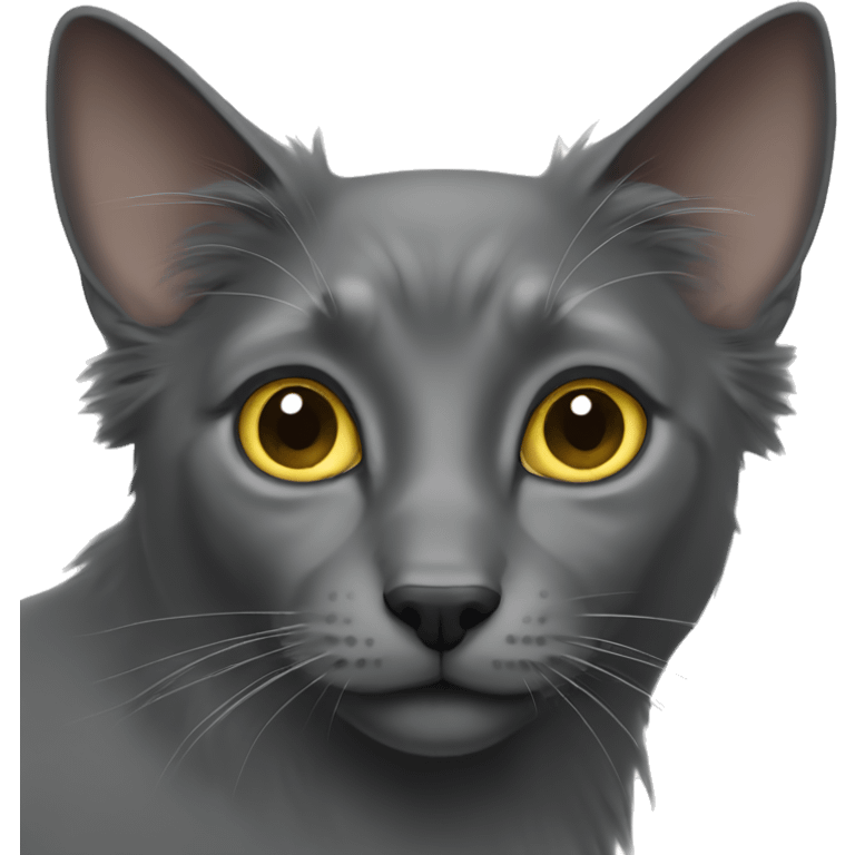 Black Nebelung cat emoji