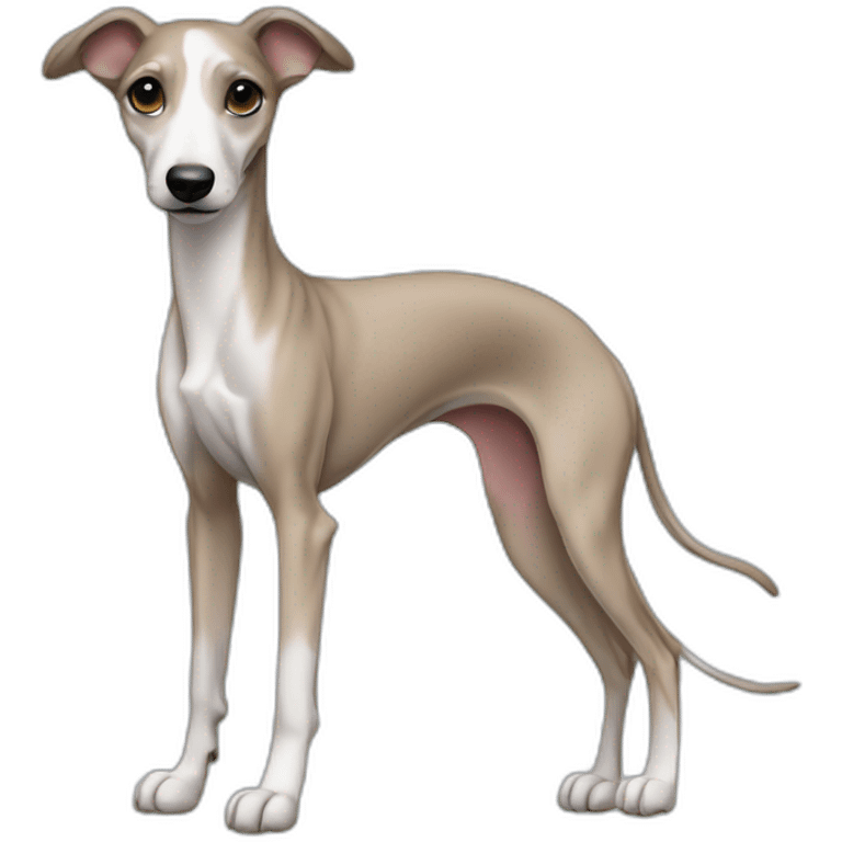 whippet puppy full body emoji