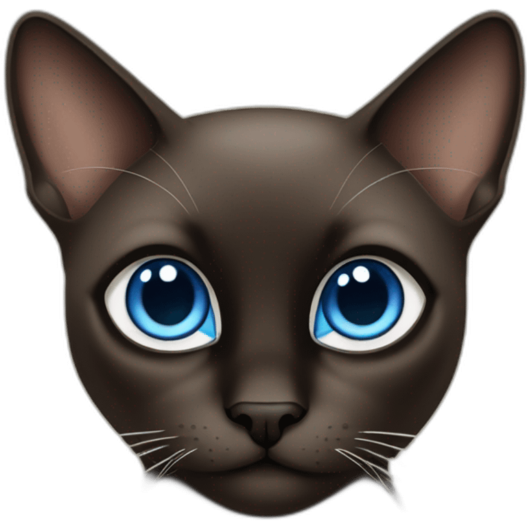 dark brown and black siamese Cat with blue eyes and white chin emoji