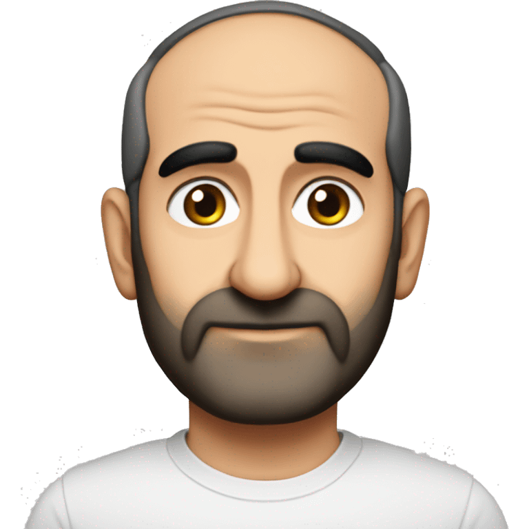 Nikol Pashinyan  emoji