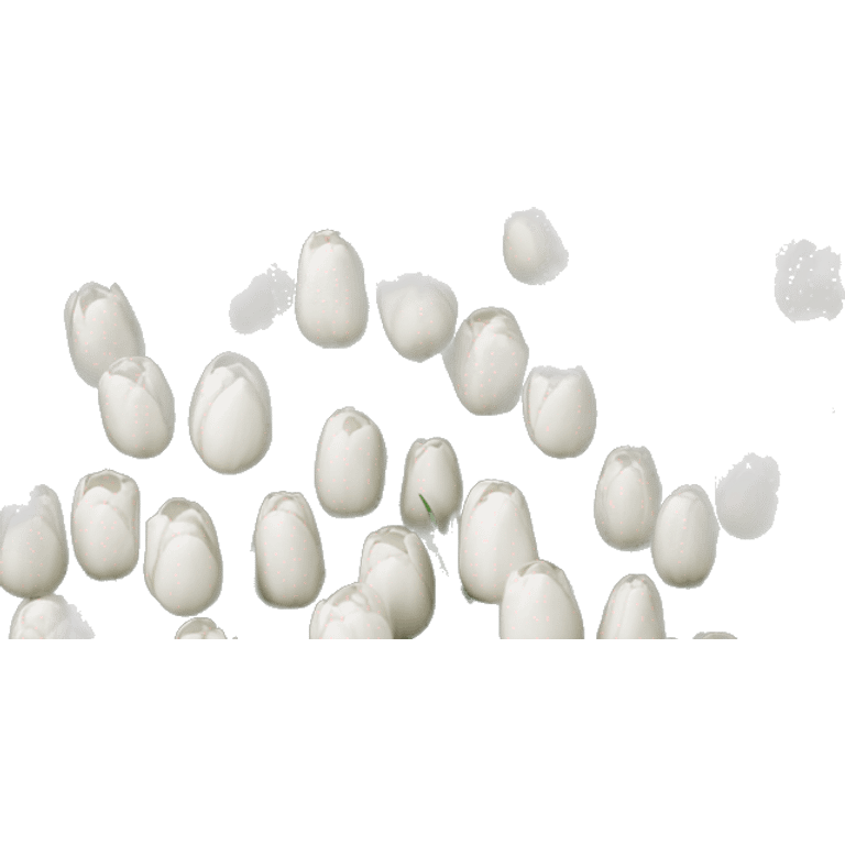 White tulips  emoji