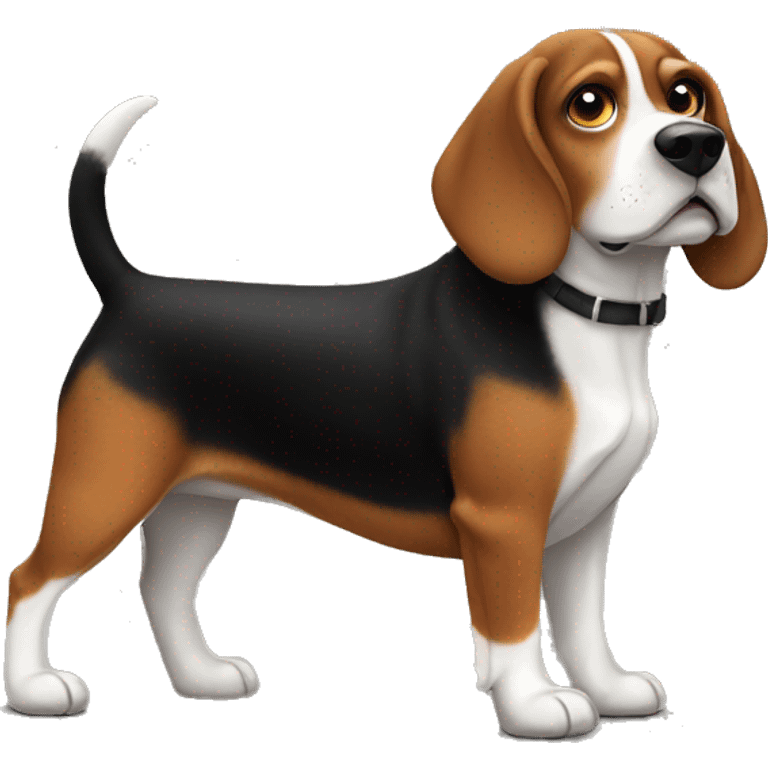 fat black and brown beagle emoji