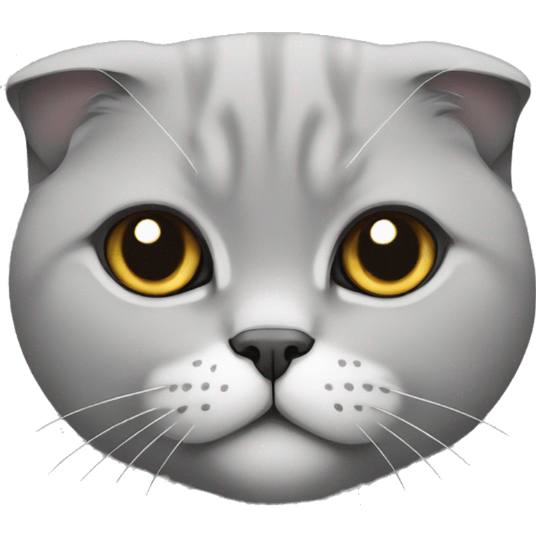 Grey Scottish fold cat minimalism without body emoji