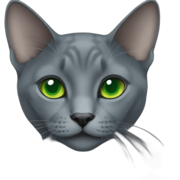 Russian blue cat with green eyes emoji