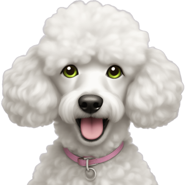 White fluffy poodle with greenish eyes and pink nose emoji