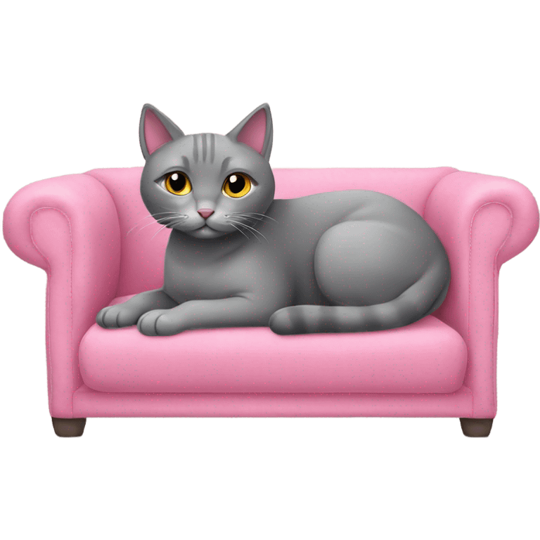 grey cat sitting on a pink couch emoji