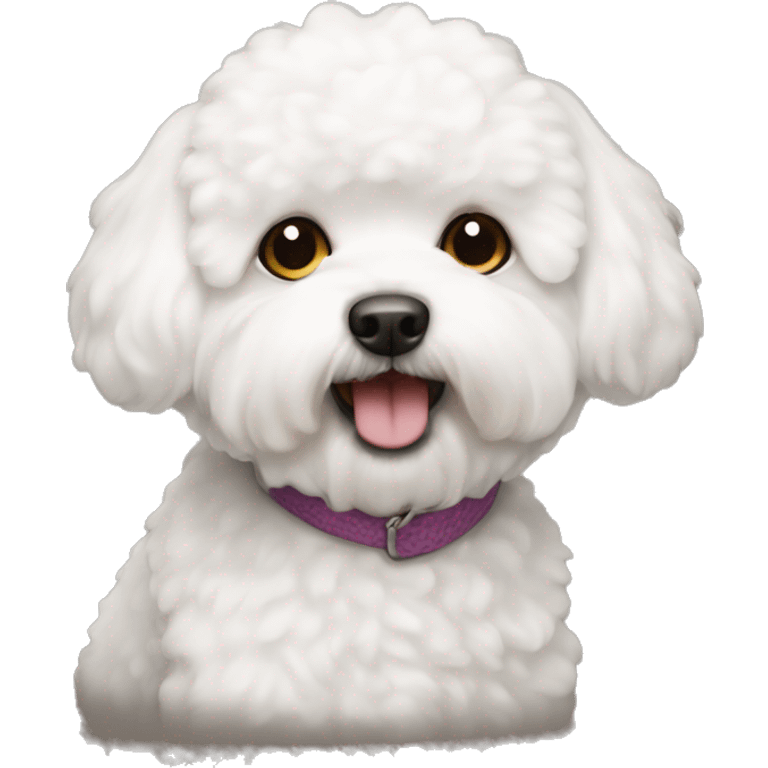 Bichon frise dog emoji